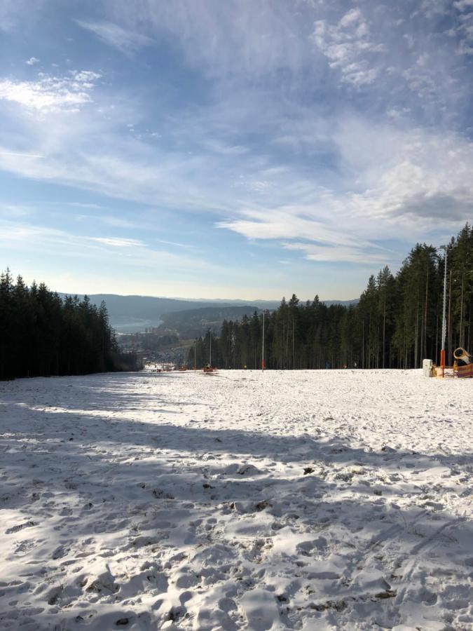 L&B Lake View Modern Apartment Lipno nad Vltavou Luaran gambar