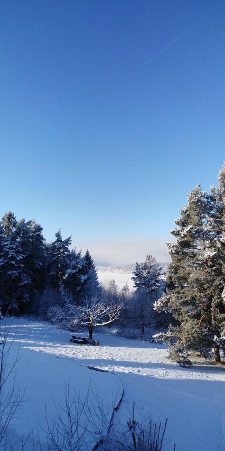 L&B Lake View Modern Apartment Lipno nad Vltavou Luaran gambar